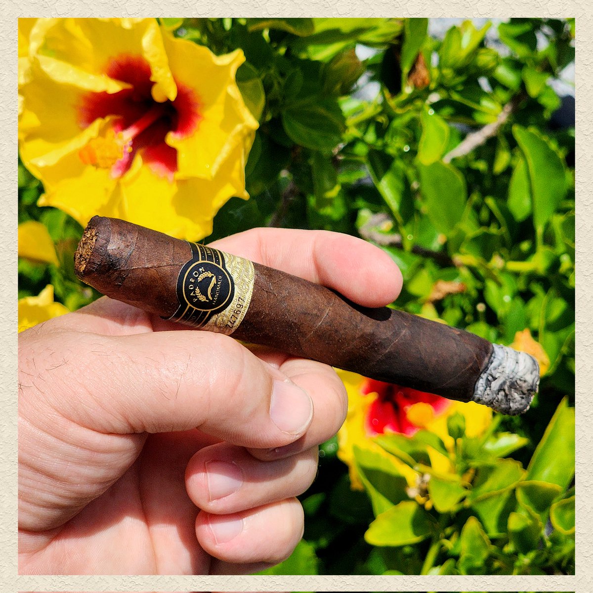 Happy Father's to the #BOTL community. I'm enjoying a Black Padron No. 52 #cigar. 💨👏🍺