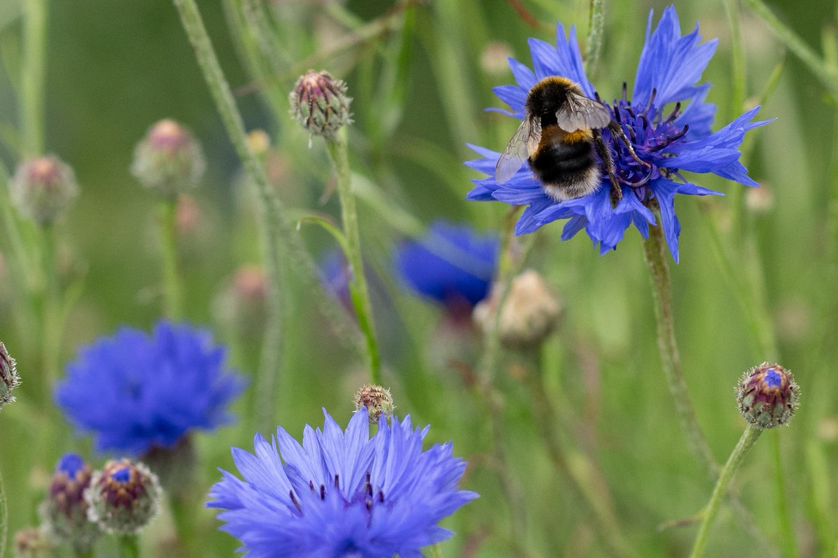 Stewart Duffy tweet media