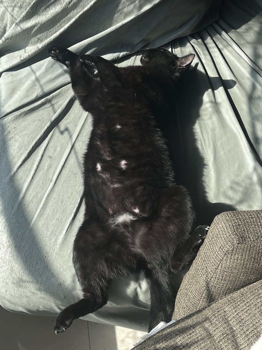 奶少牛多奶牛猫和奶特别特别少牛特别特别多奶牛猫