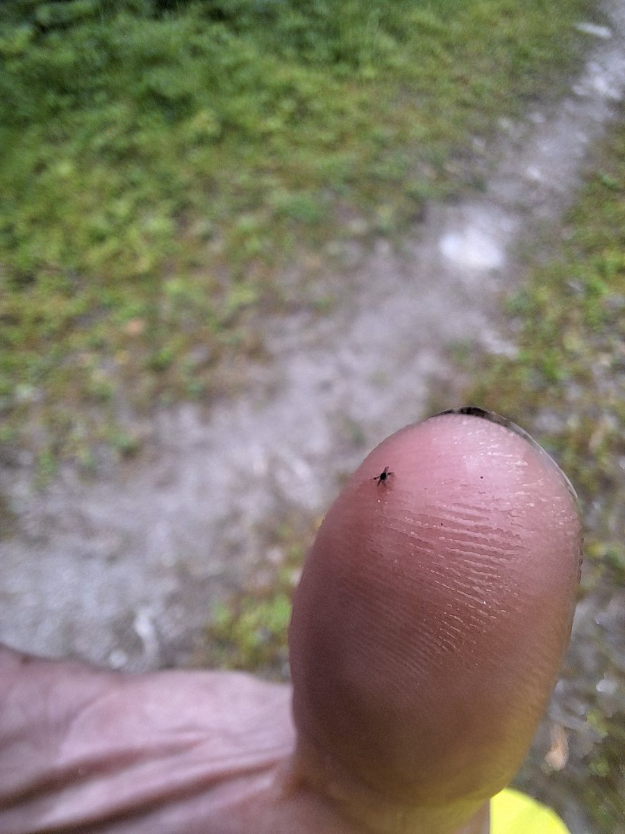 the-smiling-smithy tweet media