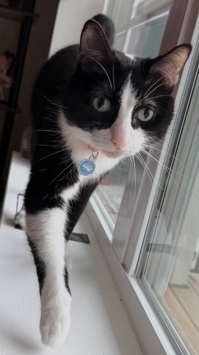 He's so handsome when my mom takes pics of him! Peepeehead!
