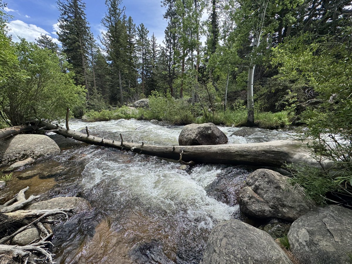Today’s lunch spot in the RMNP…