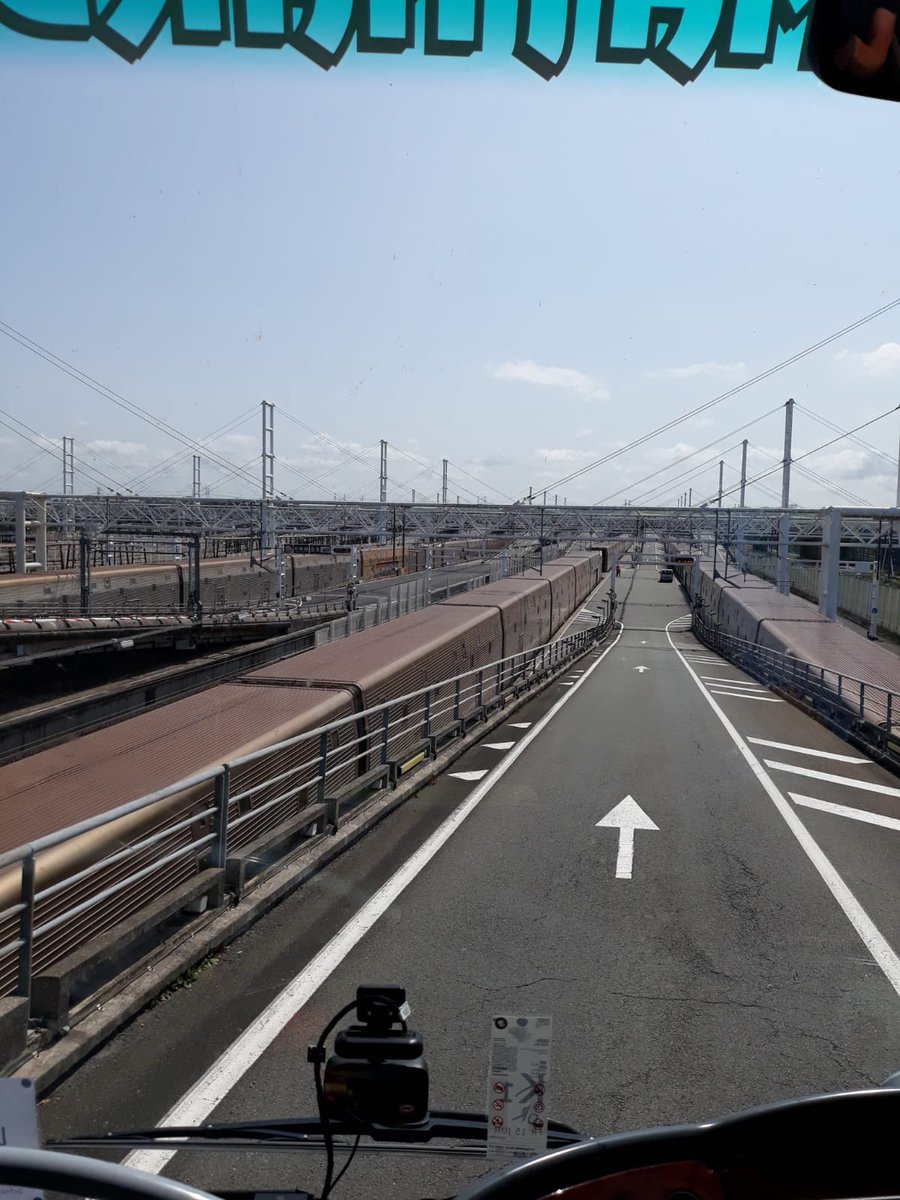 Ripley Languages tweet media