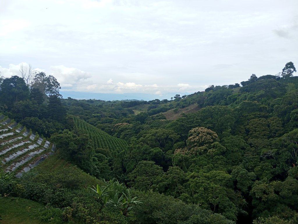 Eftersom jag hade en kaffeodlare framför mig frågade jag om Anders Ygeman hade rätt om att de höga priserna är Ulf Kristerssons fel.

Det var det inte.