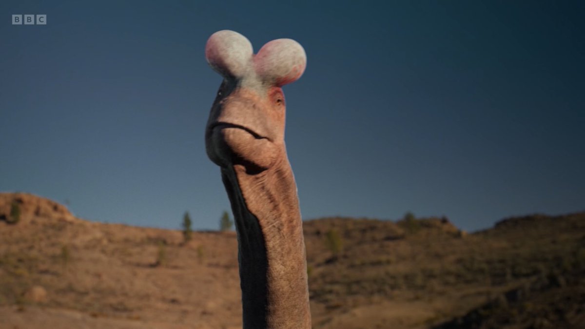 My license fee will always justify teaching me about the origins of the ball sack-head dinosaur #Walkingwithdinosaurs #BBC