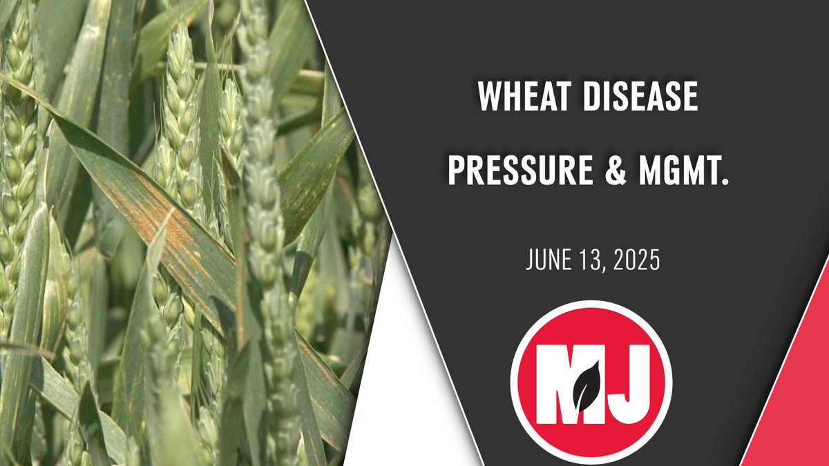 According to recent disease surveys from the University of Nebraska, there's been an uptick in Stripe Rust across the state, and the risk for Fusarium Head Blight has also been elevated.
youtu.be/ZfQLrCC-T08