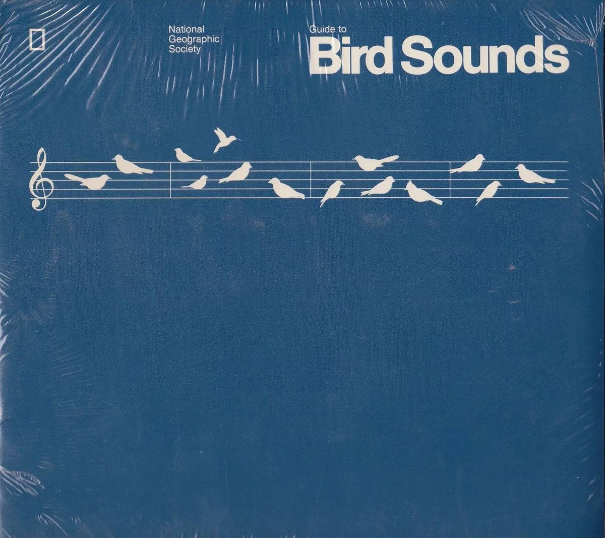 blankspac_e's tweet photo. "Guide To Bird Sounds" Vinyl, National Geographic (1983) https://t.co/WE8cTeyneX