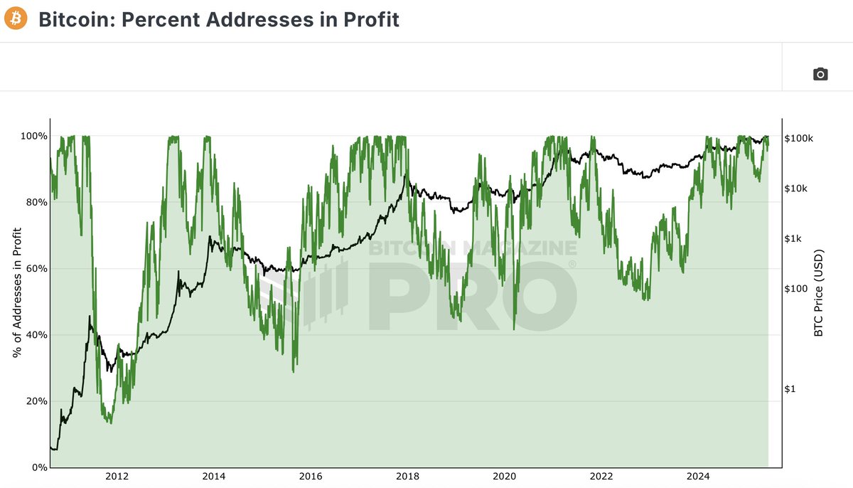 📈 Pourcentage de holders en profit
Permet d’évaluer le sentiment global.

🔹 Si 80–90% des portefeuilles sont en gains → attention aux prises de bénéfices
🔹 Si la majorité est en perte → potentielle zone d’accumulation