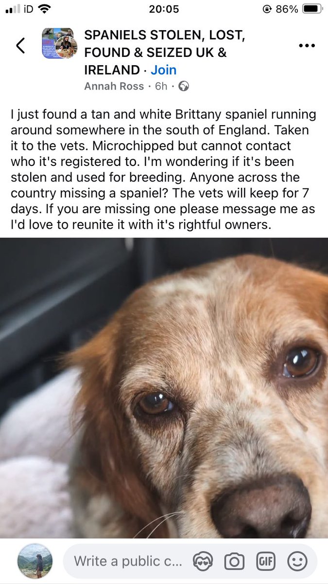 clare s (@clares14764190) on Twitter photo Please share - to find owner
facebook.com/share/p/1Am2BNโฆ Please share - to find owner
facebook.com/share/p/1Am2BNโฆ