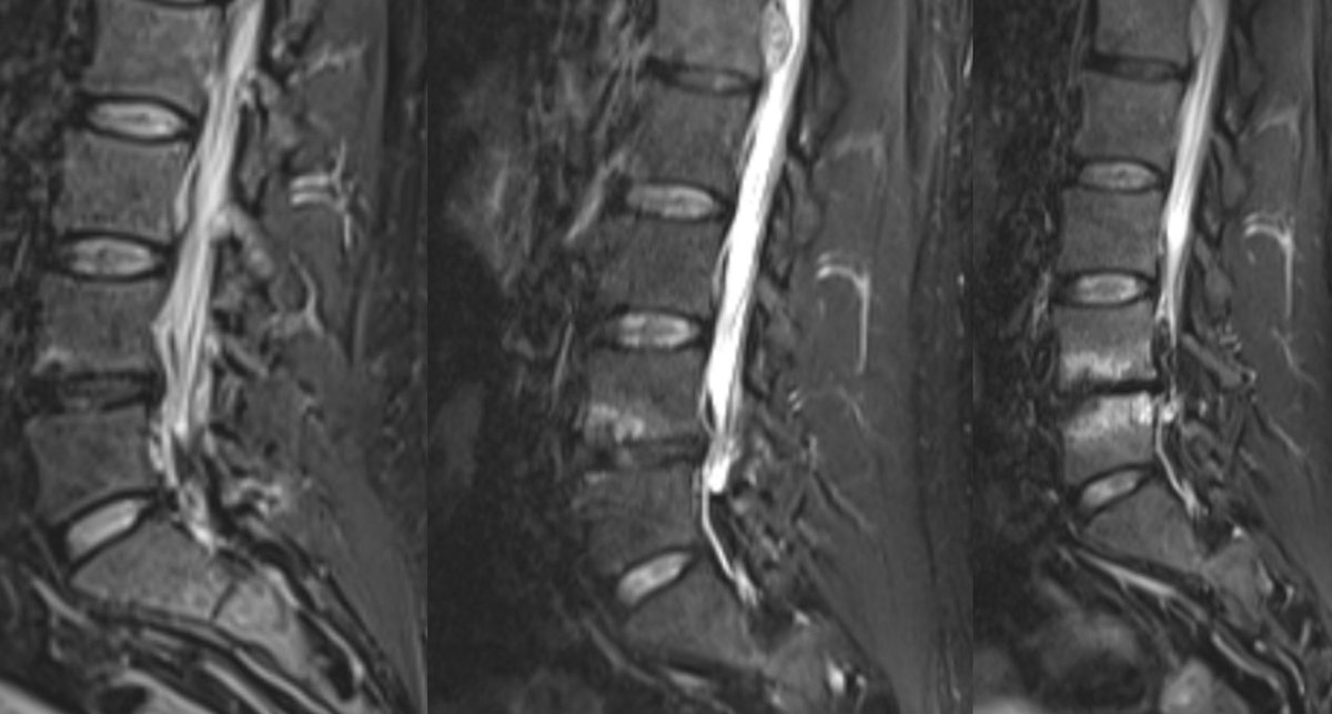 James Noake tweet media