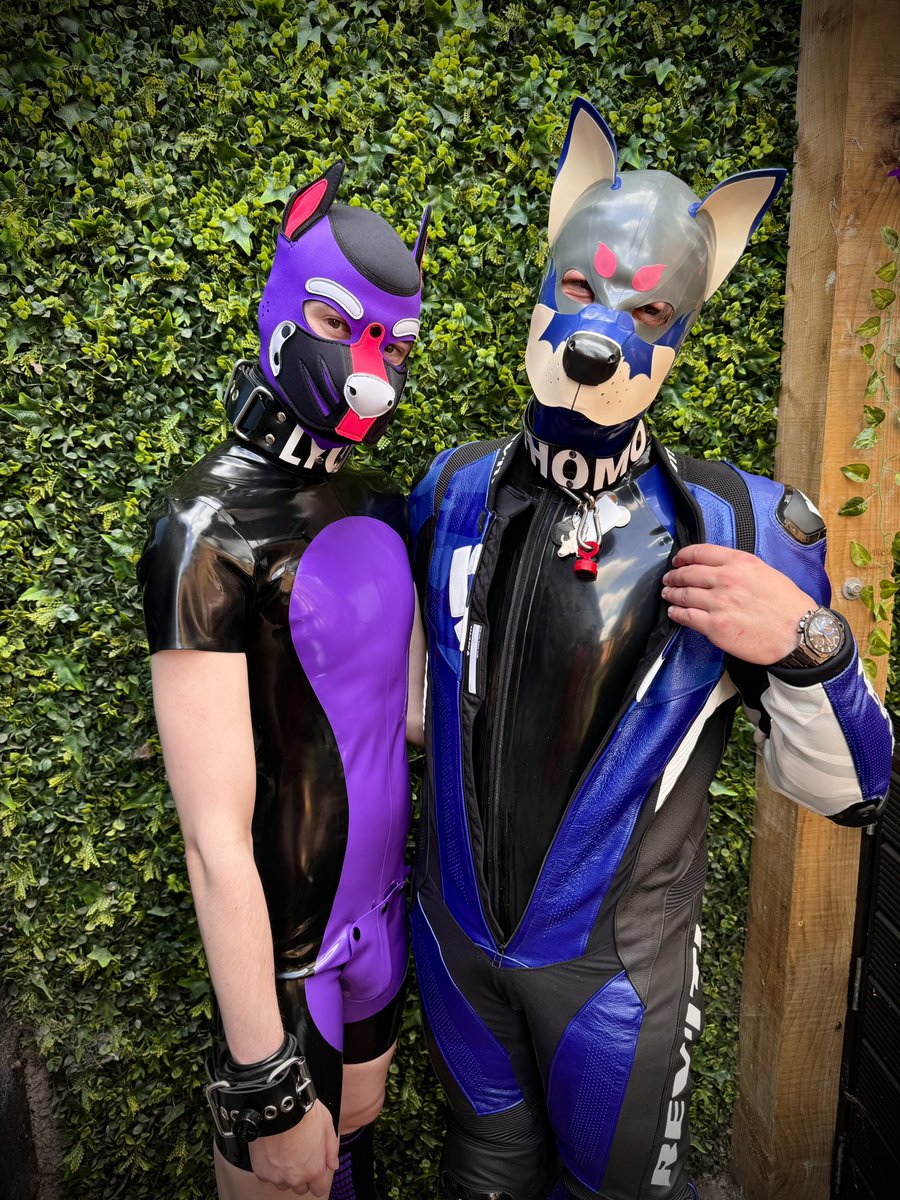 Happy #internationaldayoflatex 
Layer up or wear your shorty, just whatever you do, look shiny ✨ 

🔵🐶: <a href="/th_0m0_99/">Pup_Thomo_99 🔜🇧🇪🇩🇪</a> 
📸: <a href="/puppy_tomb/">Pup_tommy</a>