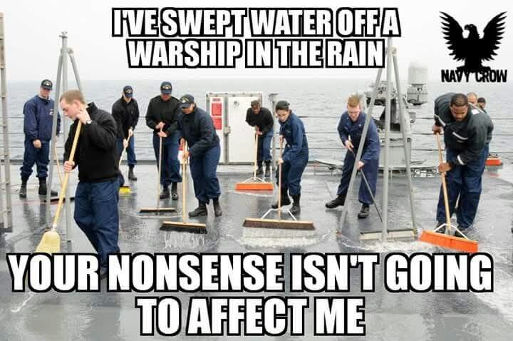 Okay Navy here's a nice sarcastic meme to use when idiots annoy you 🫡