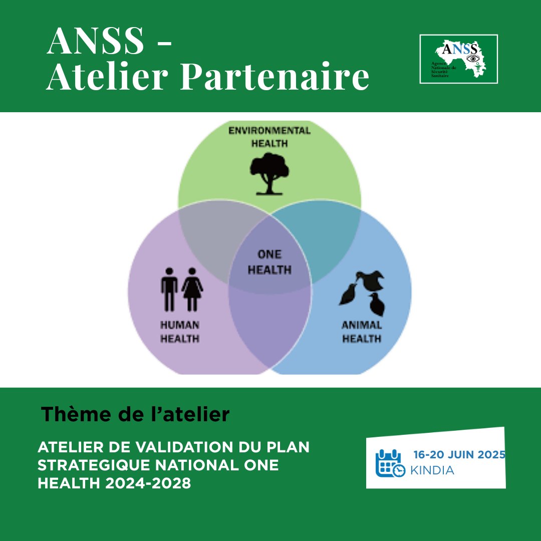 📍Kindia | L’ANSS participe à l’atelier One Health
🗓️ 16–20 juin 2025
🧍‍♀️🐄🌳 Une seule santé, un seul plan.