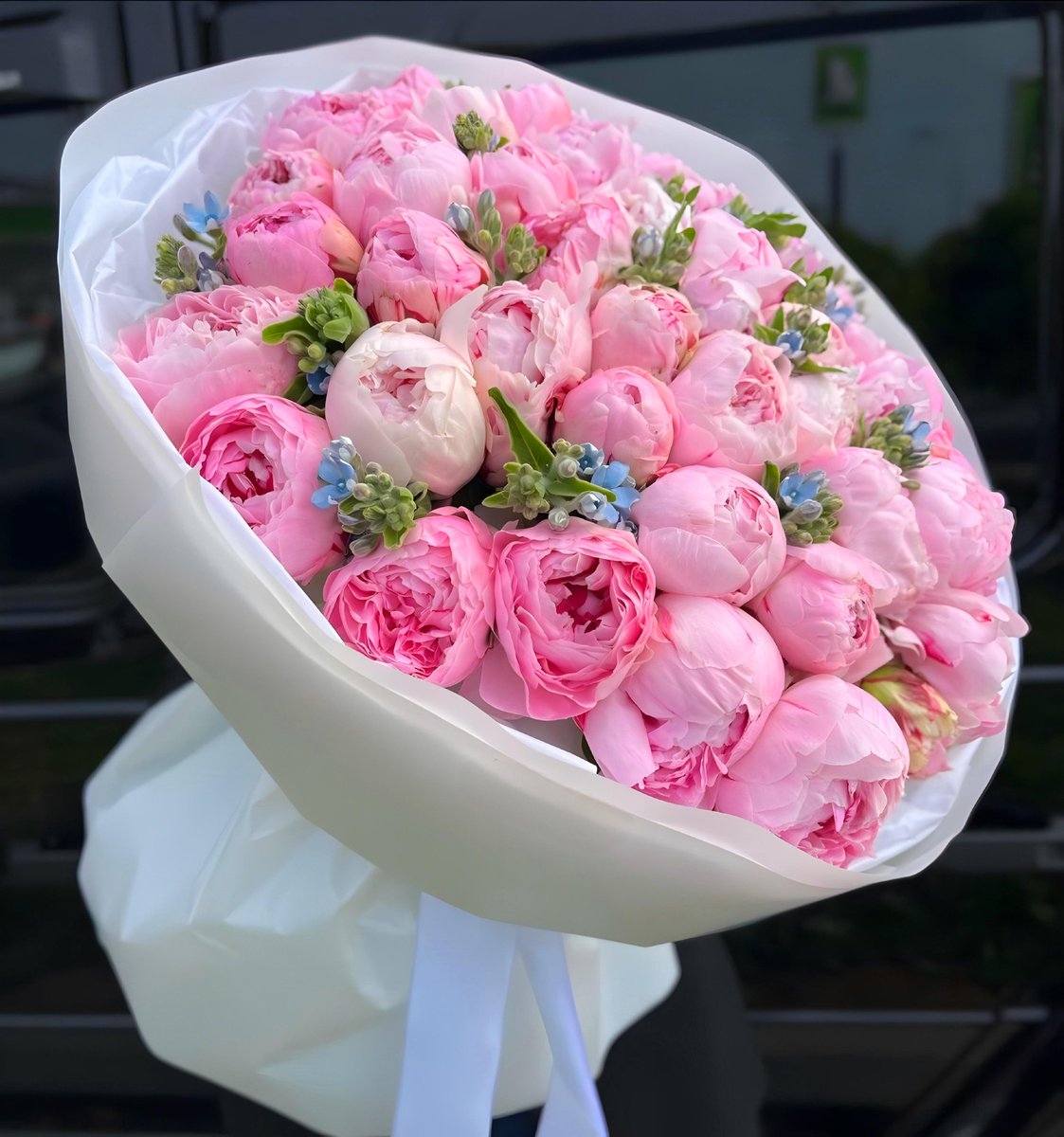 Ceylin (@uykudagezen06) on Twitter photo 