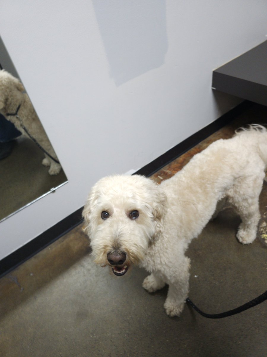 frotware's tweet image. I'm #hungover