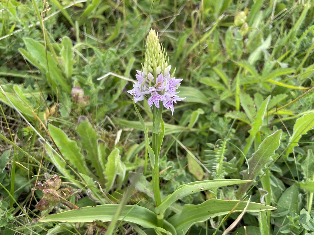 Yorkshire Lass 🐾🏊🏻‍♀️☕️🍰 tweet media