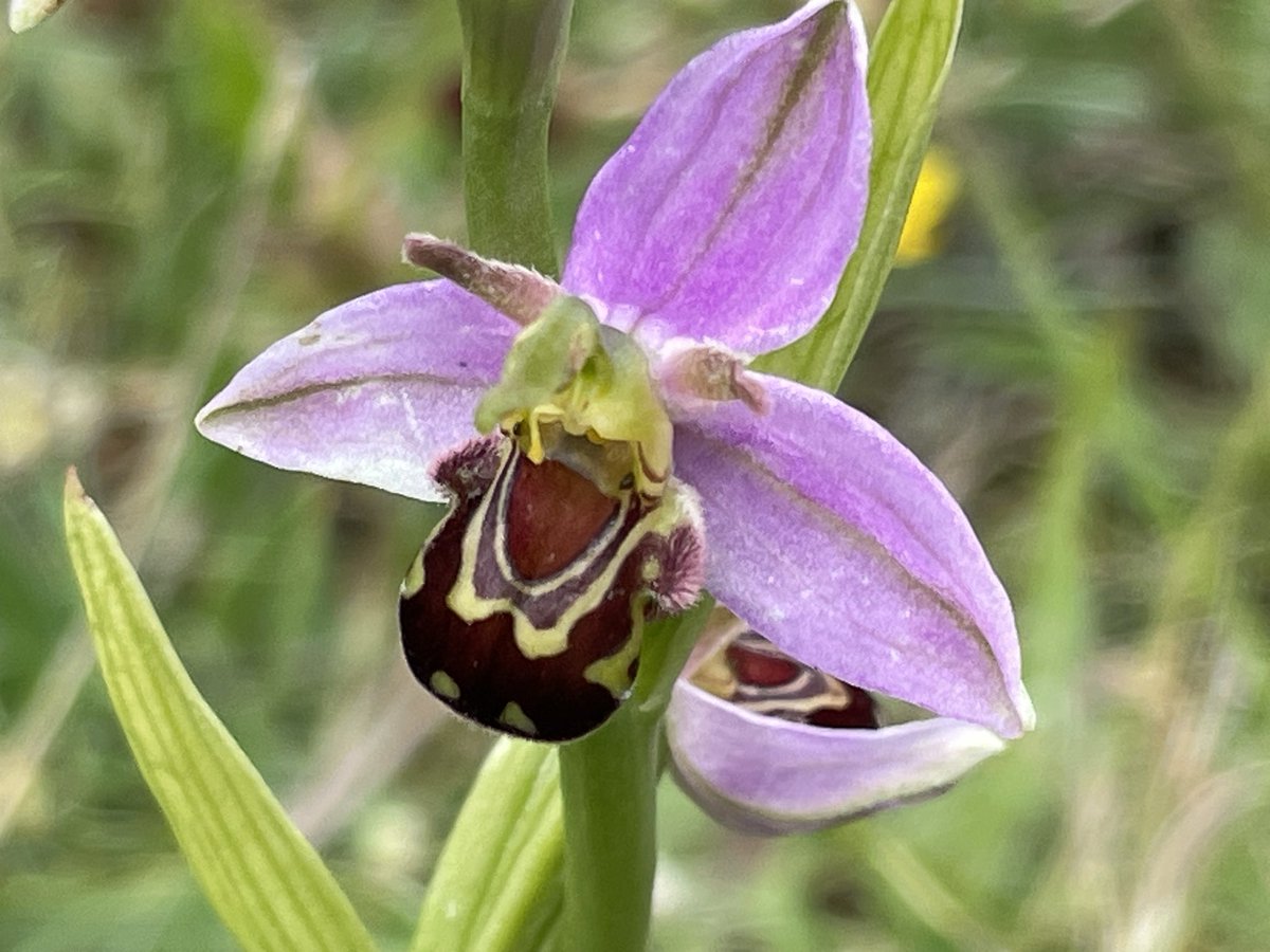 Yorkshire Lass 🐾🏊🏻‍♀️☕️🍰 tweet media