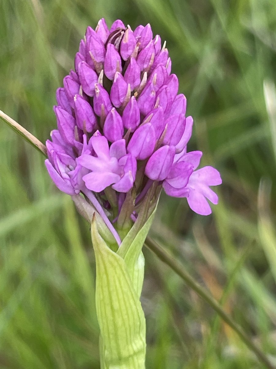 Yorkshire Lass 🐾🏊🏻‍♀️☕️🍰 tweet media