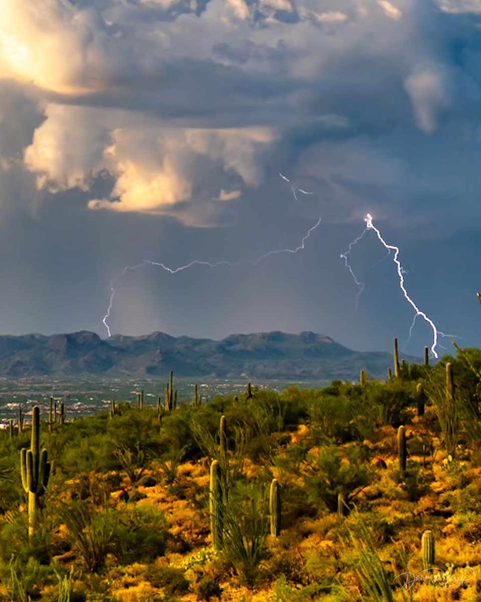 🌩️ Monsoon season has officially arrived in Arizona! Starting today, we will be on the lookout for dramatic skies, rolling thunder, and those unforgettable desert downpours. 

#📷 : @randalf, <a href="/keithdines/">Keith Dines</a>, <a href="/tonyeckersley/">Tony</a>, @donnaruthruffphotography