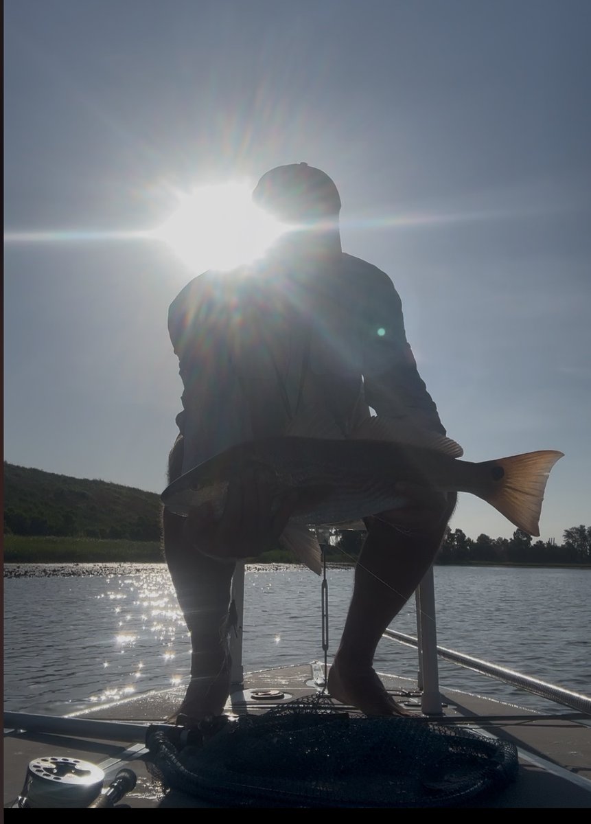 tarponmadness's tweet photo. Happy Father’s Day Dad. Miss you. Thanks for dropping the fish charm down from above today. Cheers. https://t.co/DCLEwSyAGW