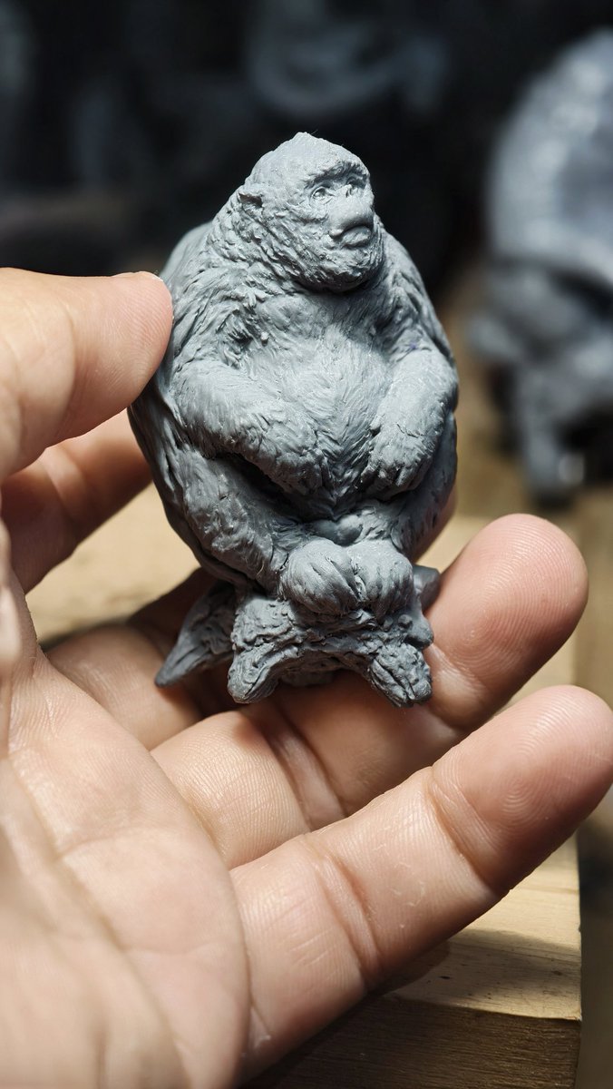 TZUCHILEE2's tweet image. 川金絲根付結束，滇金絲根付繼續