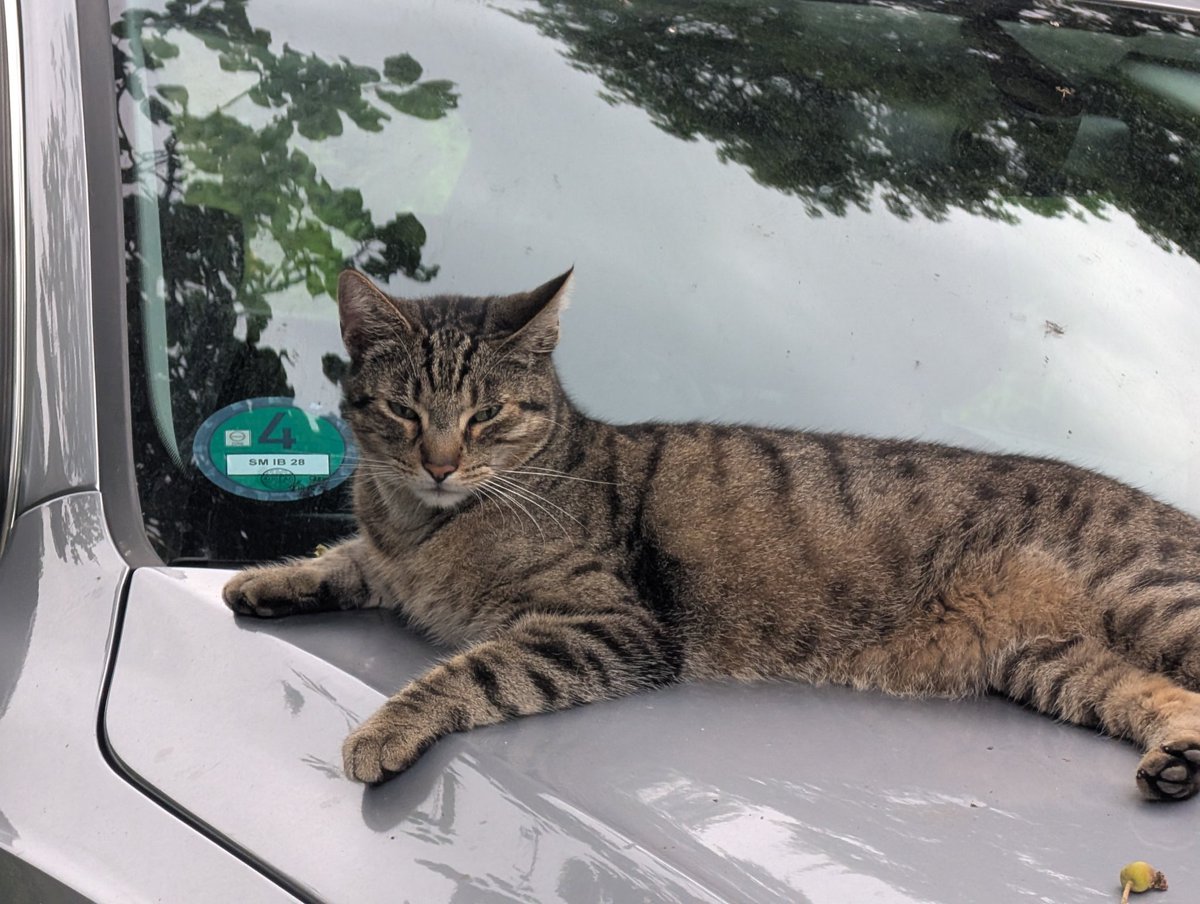 Da hat Whiskey wohl was verwechselt bei der schwülen Hitze heute? Kühlerfigur - kühler Whiskey?