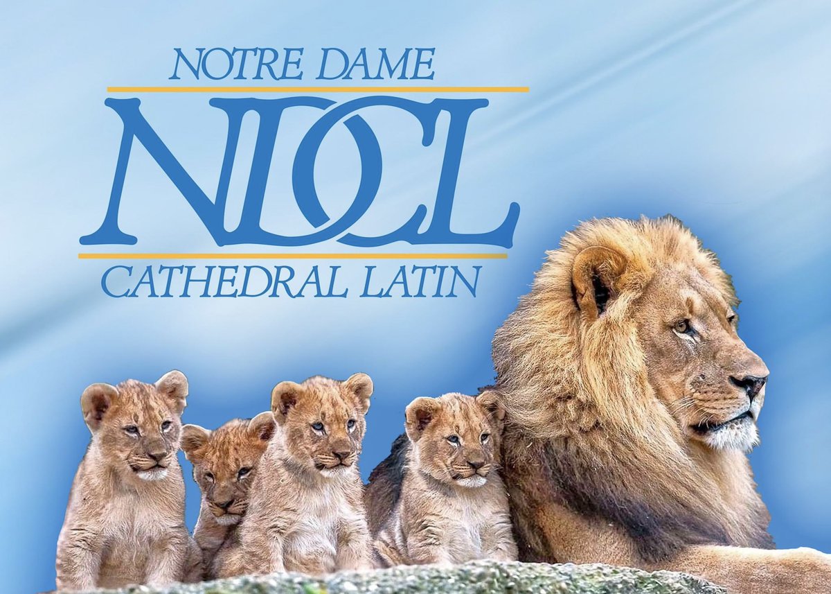 Notre Dame-Cathedral Latin School (@ndcllions) on Twitter photo Wishing a Happy Father’s Day to all the dads out there!!
#Lions #NDCL #WeAreNDCL🦁 Wishing a Happy Father’s Day to all the dads out there!!
#Lions #NDCL #WeAreNDCL🦁