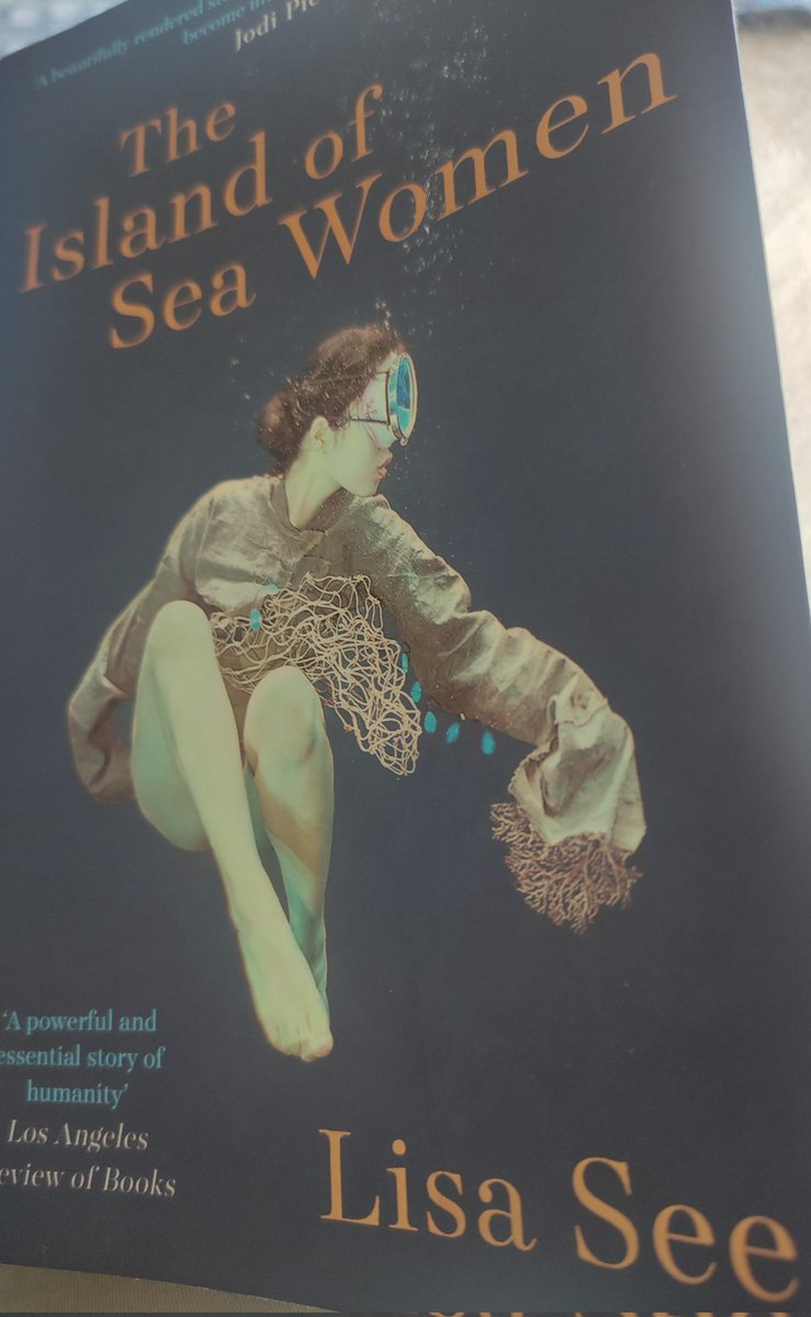 This was excellent. A bit of Korean modern history , the culture of women sea diving, friendship, betrayal and forgiveness