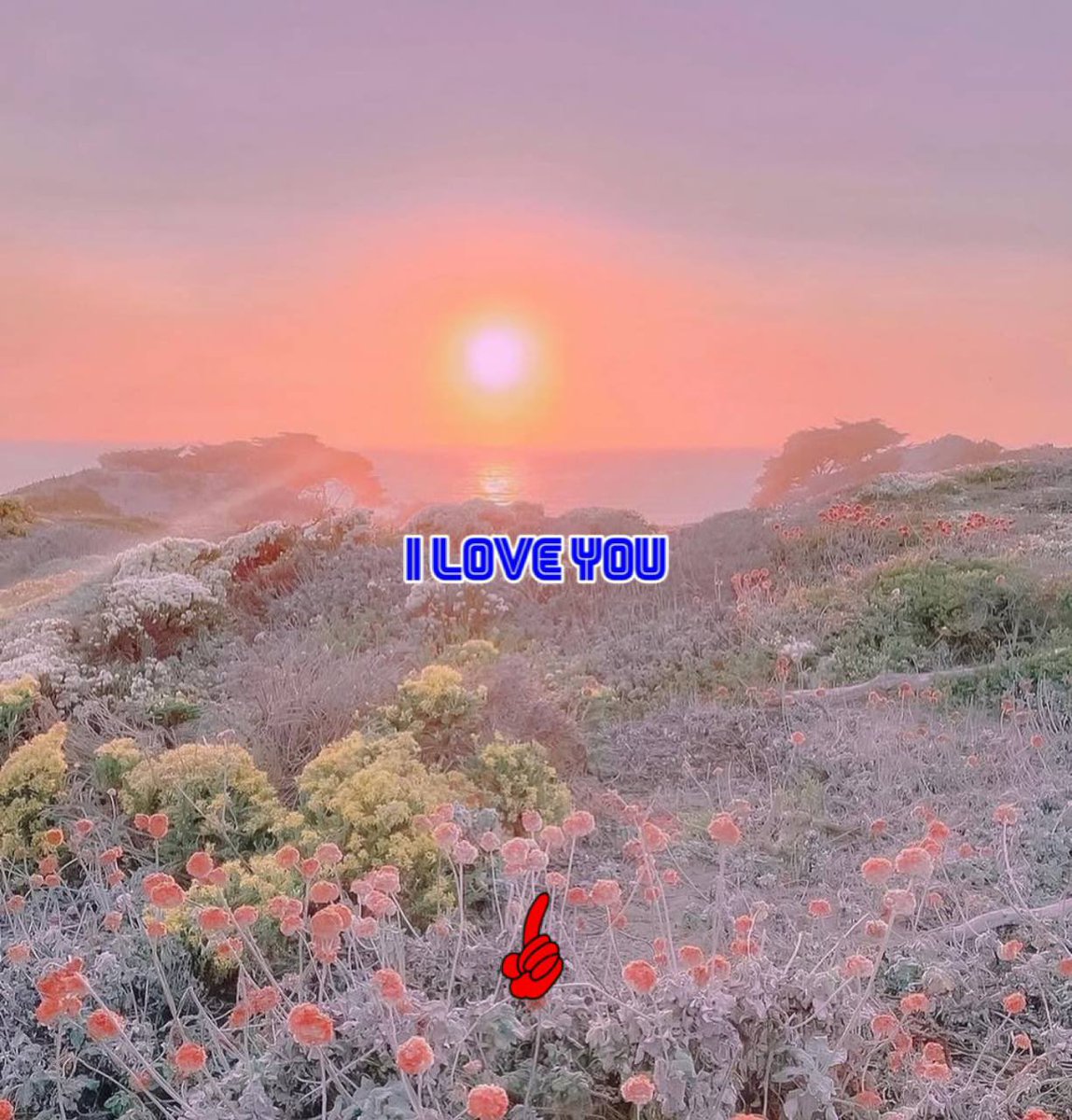 NO
MATTER
WHAT
🟦🟨🟥🕊️🕊️🕊️🕊️🕊️🕊️🕊️🕊️🕊️🕊️🕊️