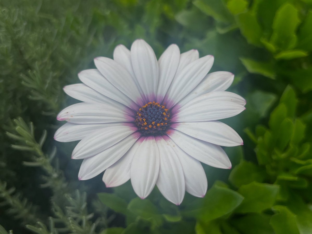 Happy Monday #bloomscrolling