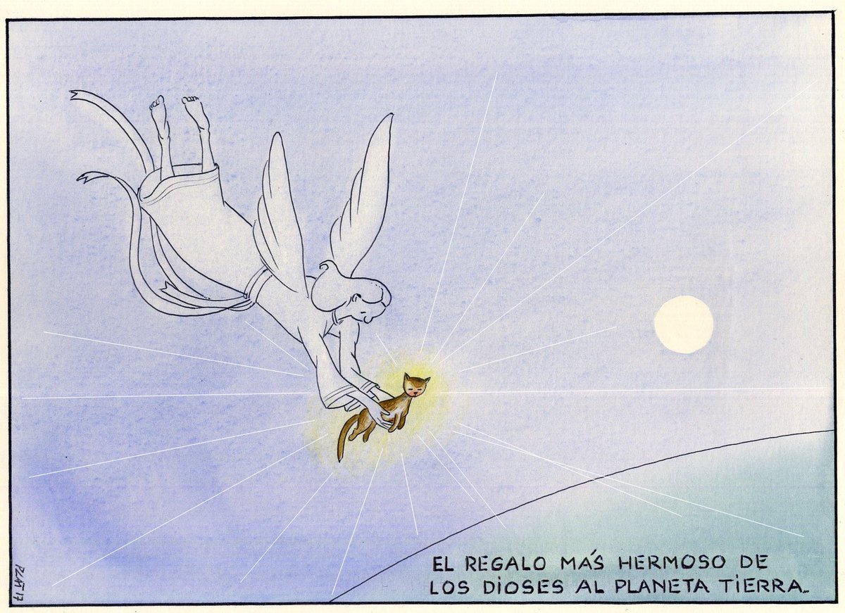 Paco Catalán. tweet media