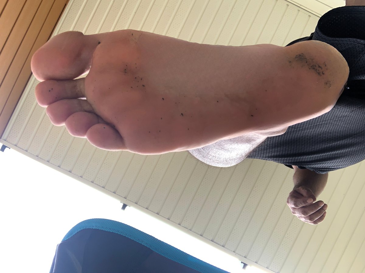 Master Andrew tweet media