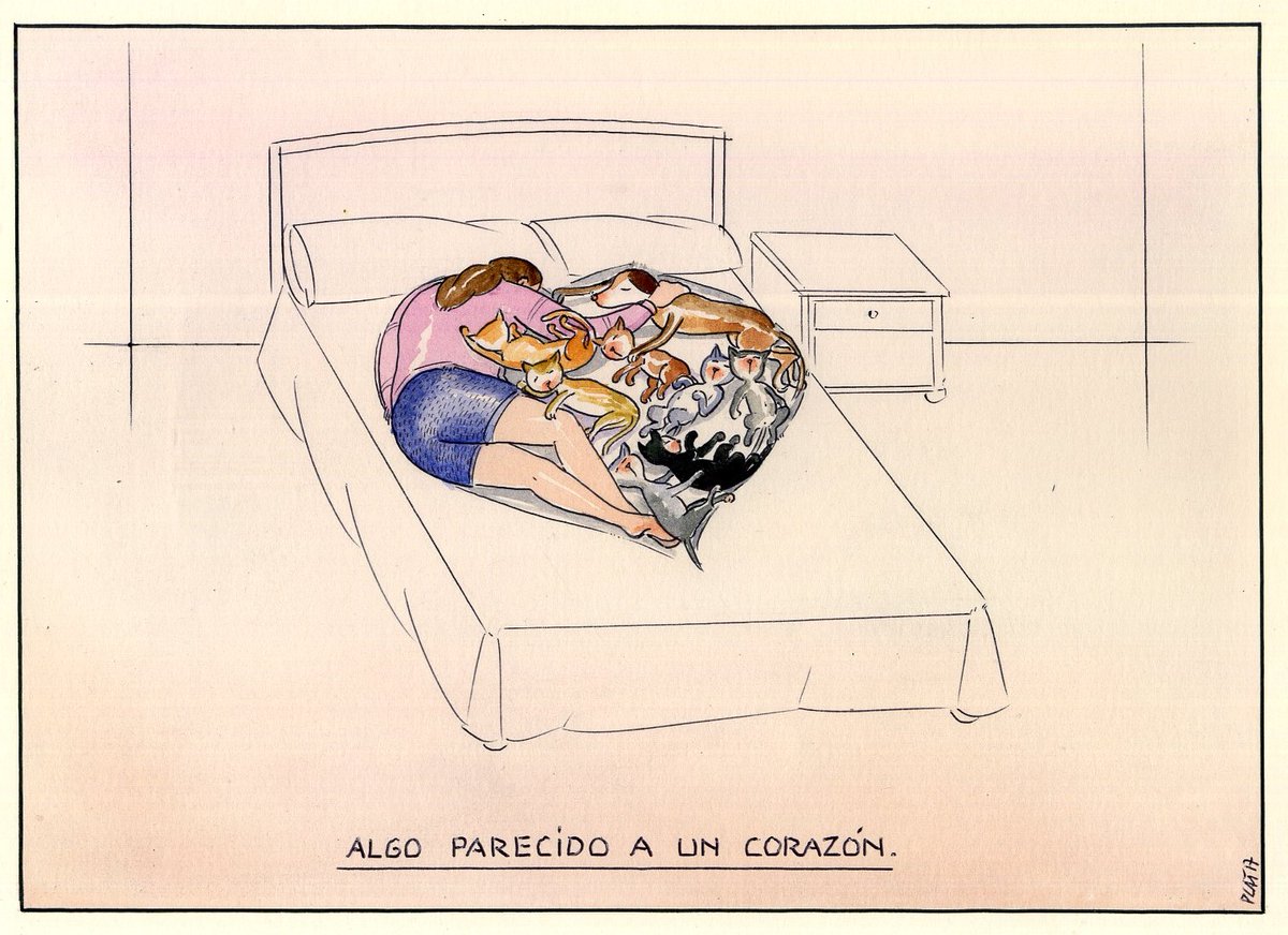 pacocatt's tweet photo. Mi viñeta. https://t.co/XD7Ki1rtJw