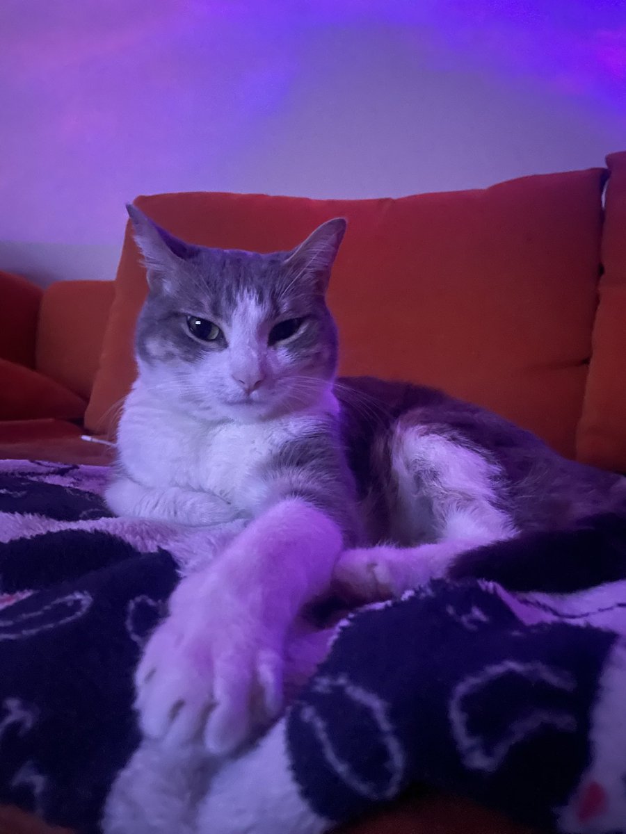 Love being a father to my little angel Ukiyo ✨