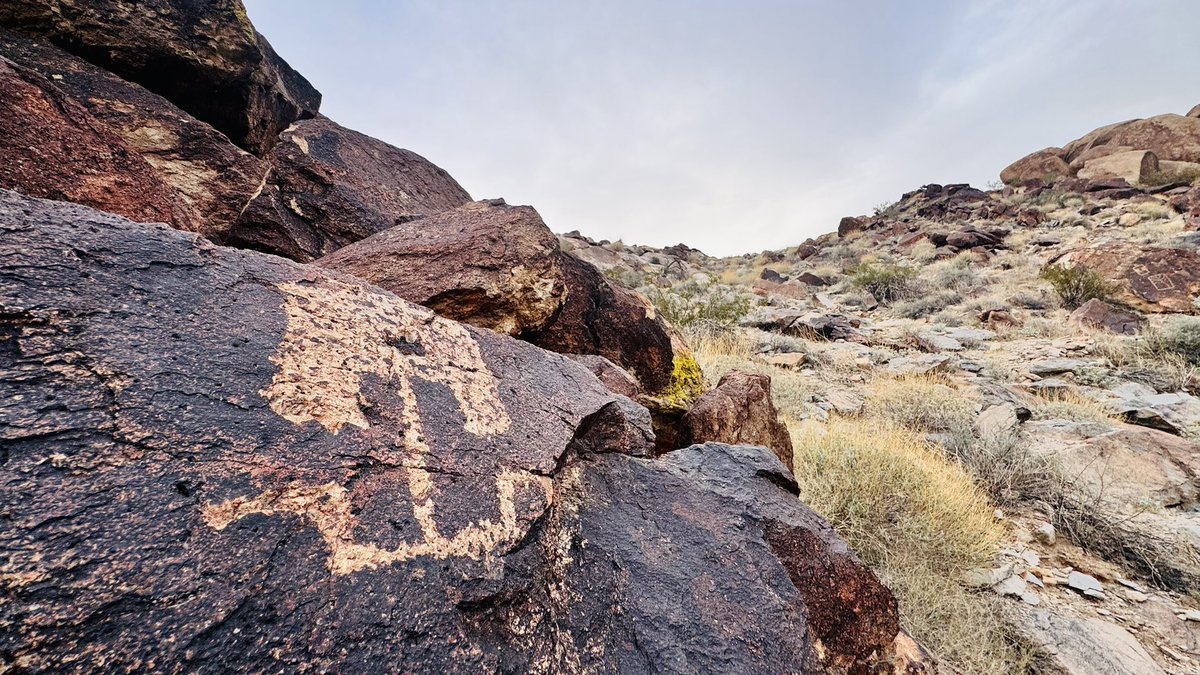 Do you think ancient people in the americas saw Vikings?