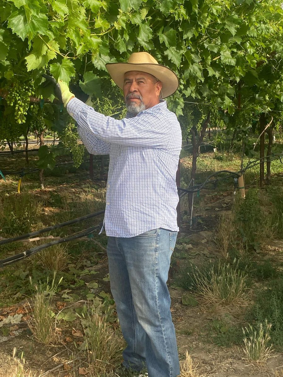UFWupdates's tweet photo. On #FathersDay let's recognize the dads who work so hard to support their families. Ramiro shares, "I've grown up working in the fields. I've been a tractor driver for over 20 yrs to support my family of 4. I enjoy working outside, but worry as  the pay isn't great." #WeFeedYou https://t.co/Z1jKpb8Ej0