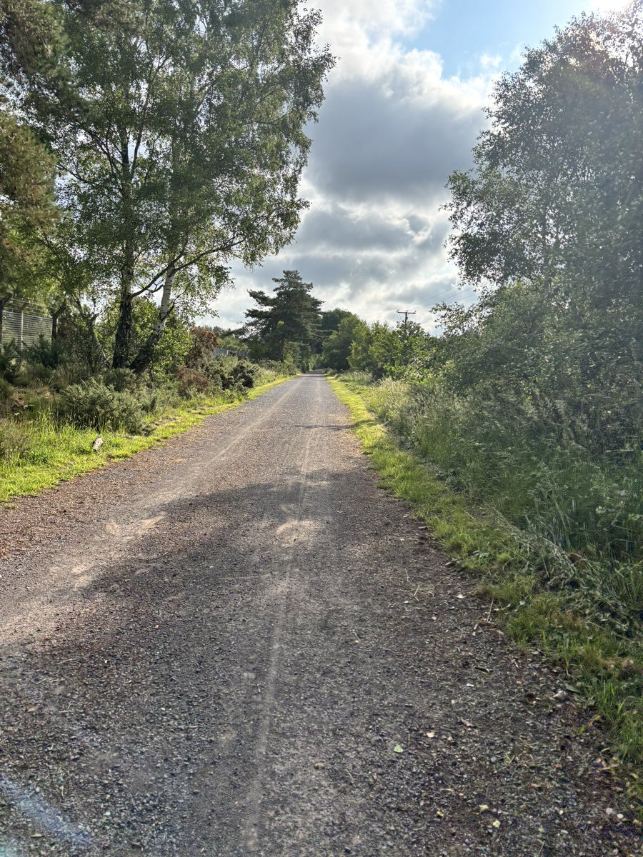 jen💙 (she/her) tweet media