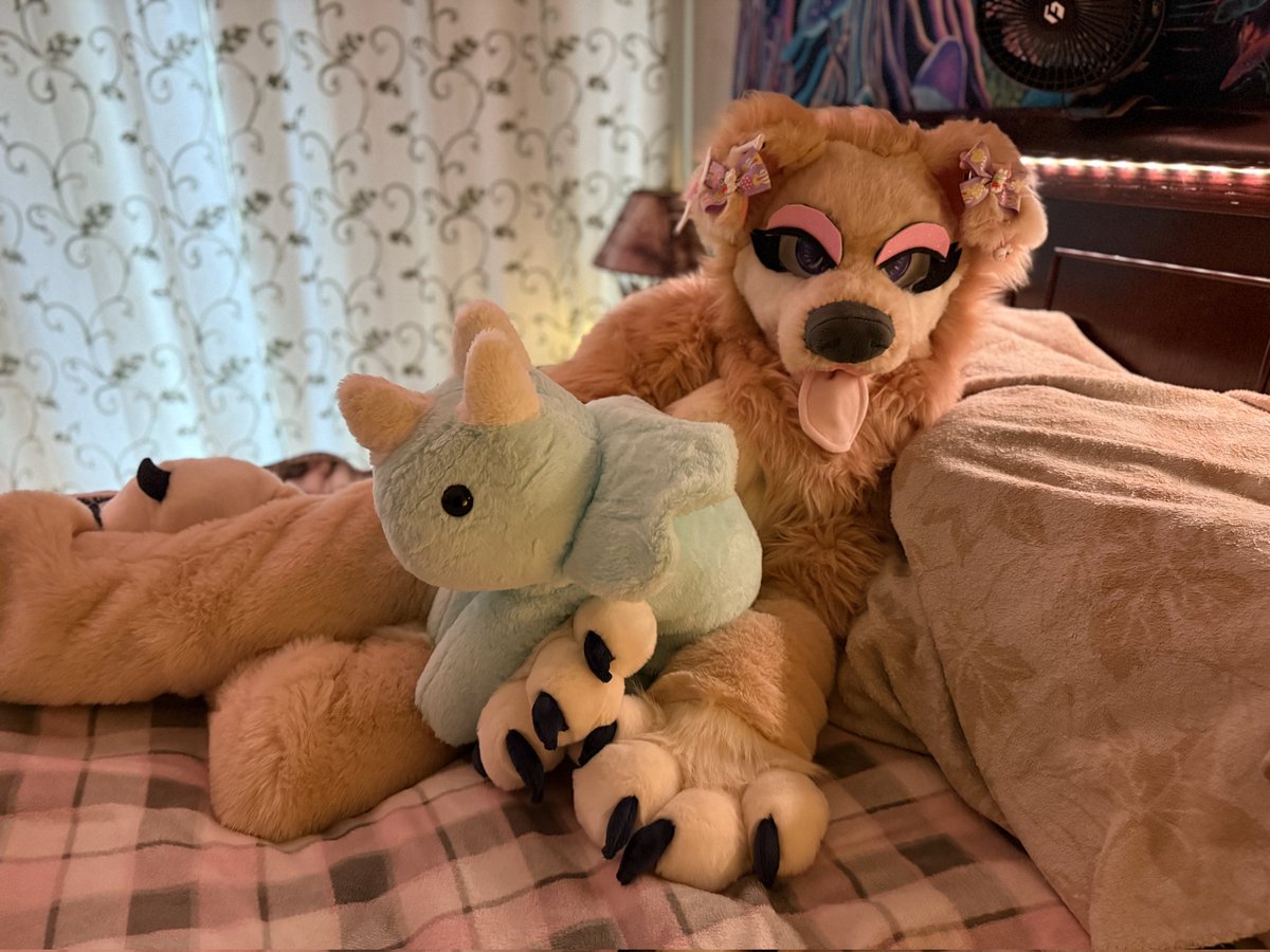 Am such a snuggly puppy 🐶🥺💖💖

📷 <a href="/RhysCorgi/">Rhys / Runa</a>