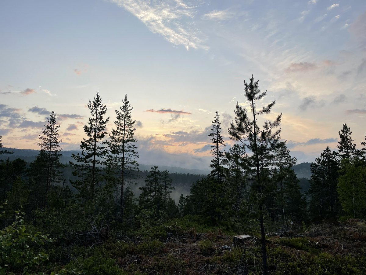 After rain showers😊💕🦊Enjoy