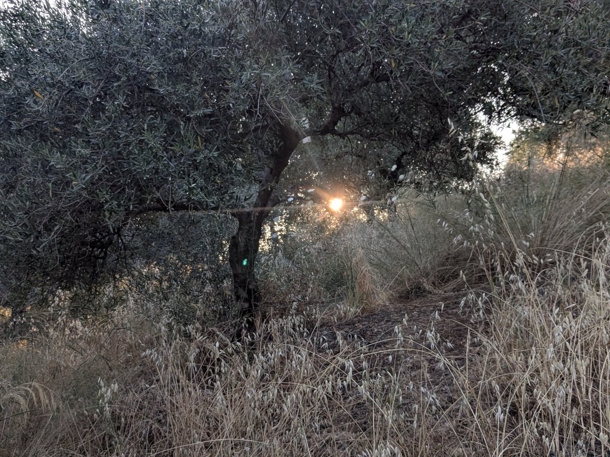 elethereal's tweet image. One day ends, another begins #FathersDay