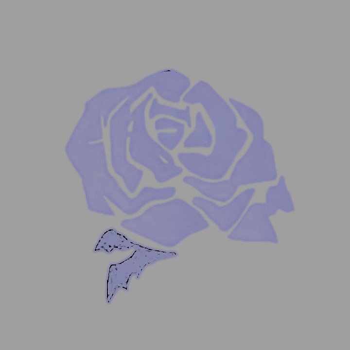 ⃰⭑ᅠ⃬ᅠᅠ𝐊𝐀𝐈𝐒𝐄𝐑ᅠ⃰ ᅠ tweet media