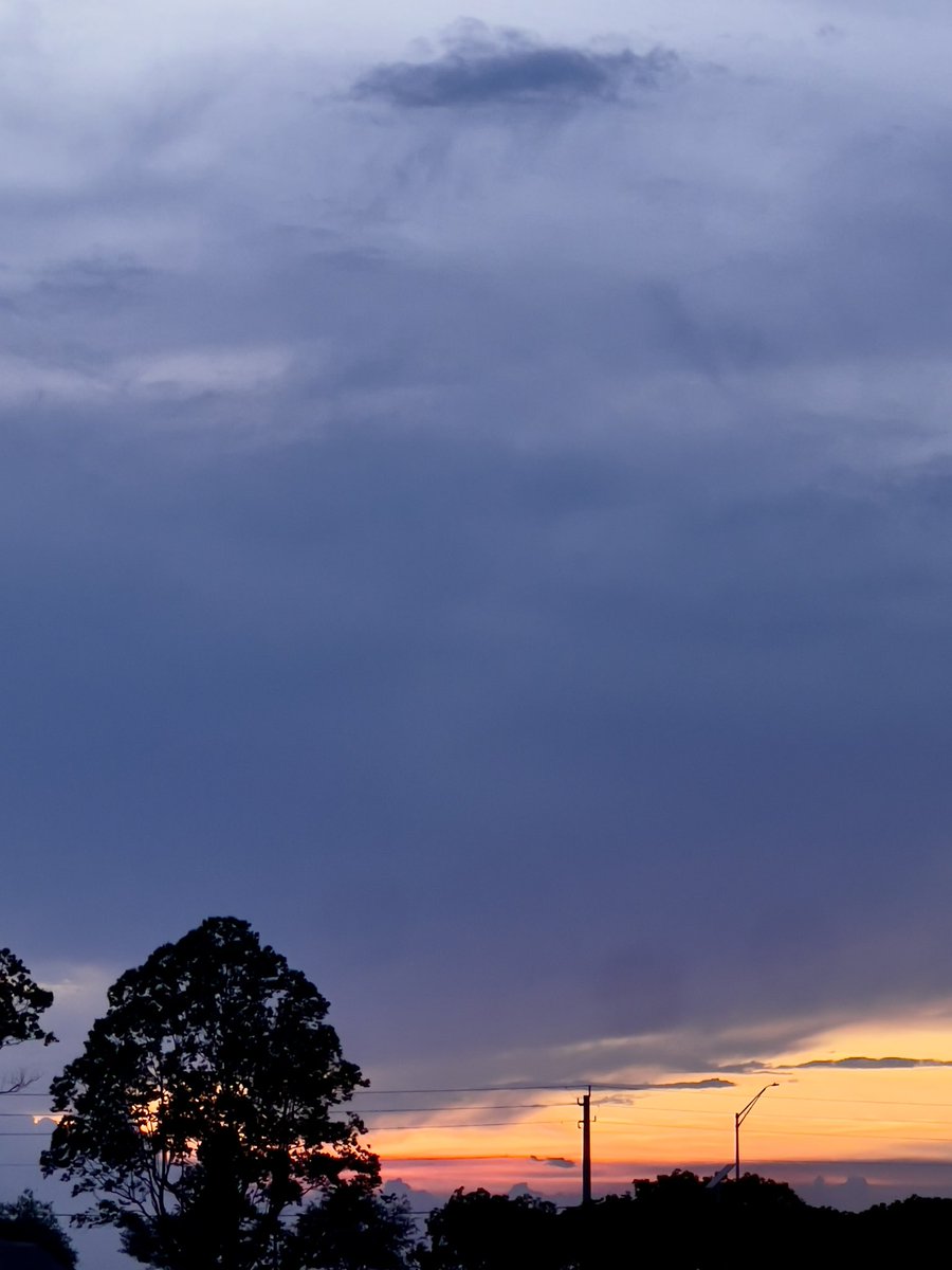 Shanyylll's tweet image. say less :) (it was mostly the sky but I really liked the trees + flowers on them too)