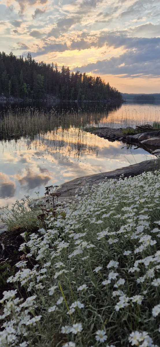 Kesäpäivän ilta. #Päijänne #Korpilahti