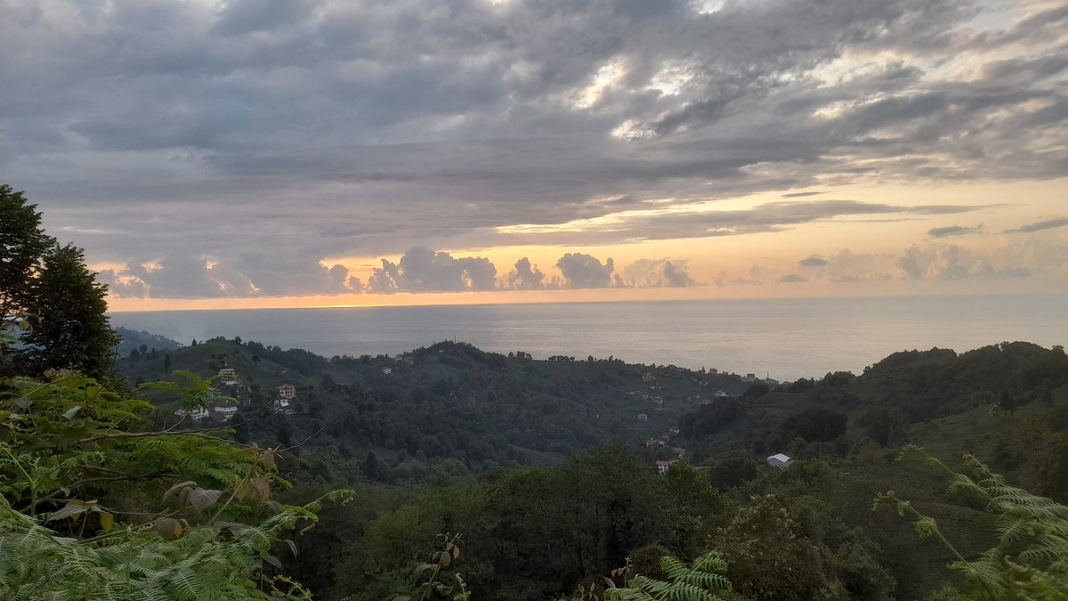 Dünyanın en güzel memleketi Rizeden,yeşil her tonu.
Akşama doğru...
#Rize