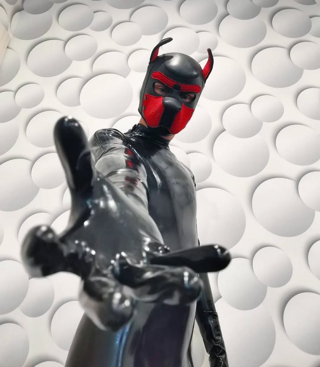 LichPup (@lichpup) on Twitter photo Happy international latex day πΆ Happy international latex day πΆ