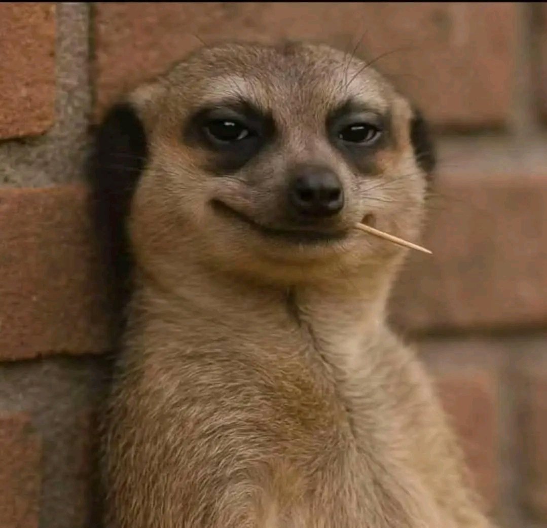 DadaDMSS's tweet photo. Faut jamais négliger quelqu'un dans cette vie car,la main ✋gauche qui lave l'an""s c'est elle qui goûte la sauce. Tchuuup https://t.co/WLbhl3gRBv
