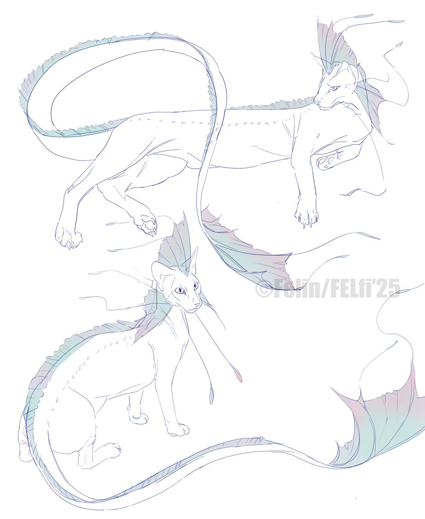 Felin Felinarius tweet media