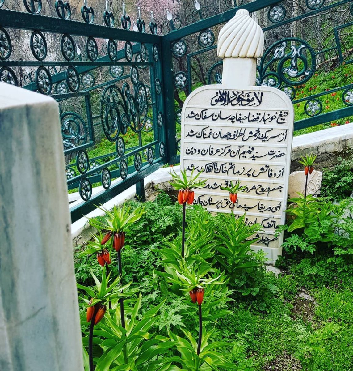 “Yüreğin daraldığında YA BÂSIT içimdeki sıkışmışlığı ferahlığa çevir, beni kendime bile geniş gelen bir saadete eriştir…” diye hiç dua ettin mi.

☘️☘️☘️