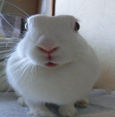 Nicky_htf's tweet image. 