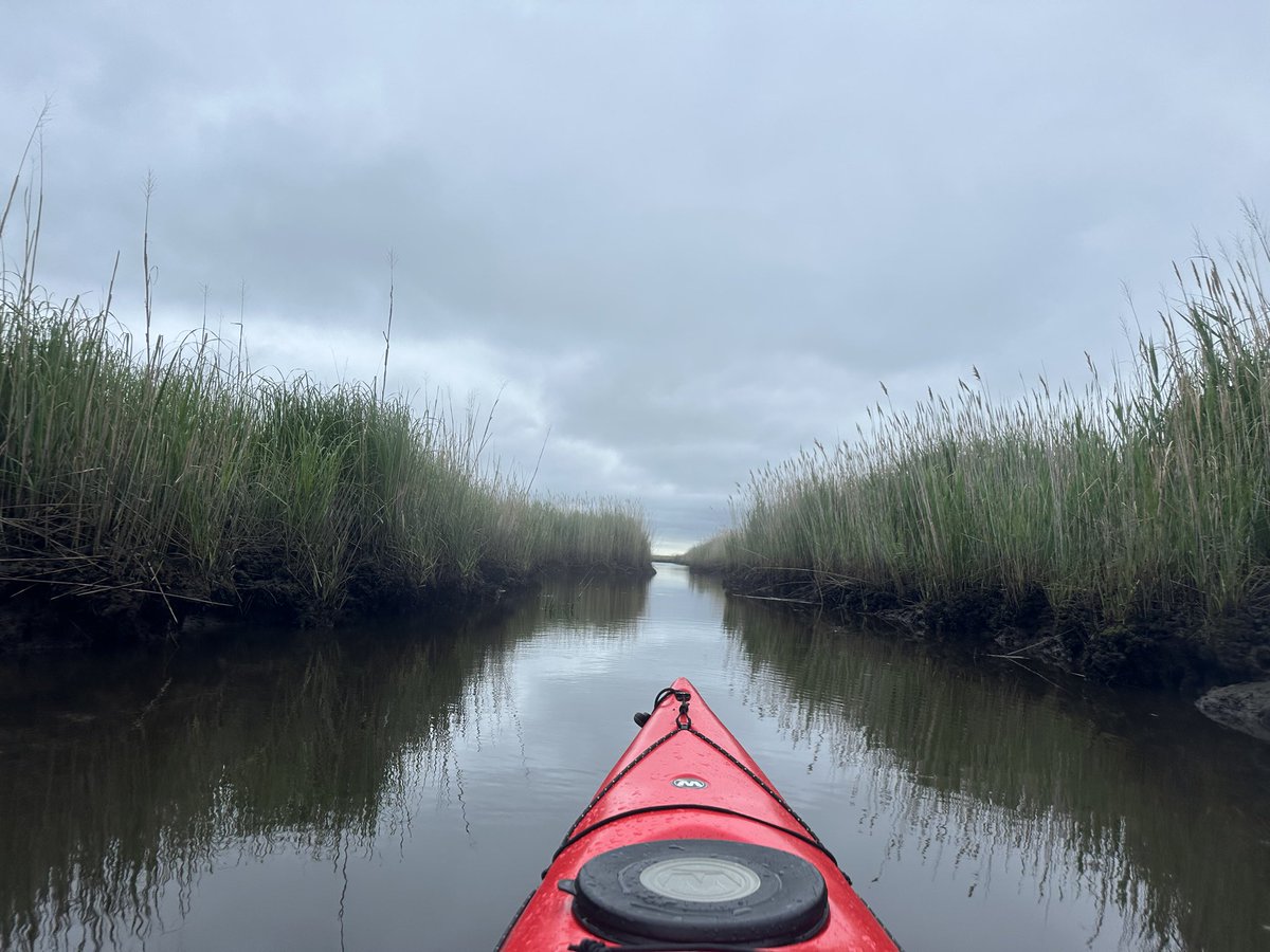 Bill Caruso (@wjcaruso) on Twitter photo 